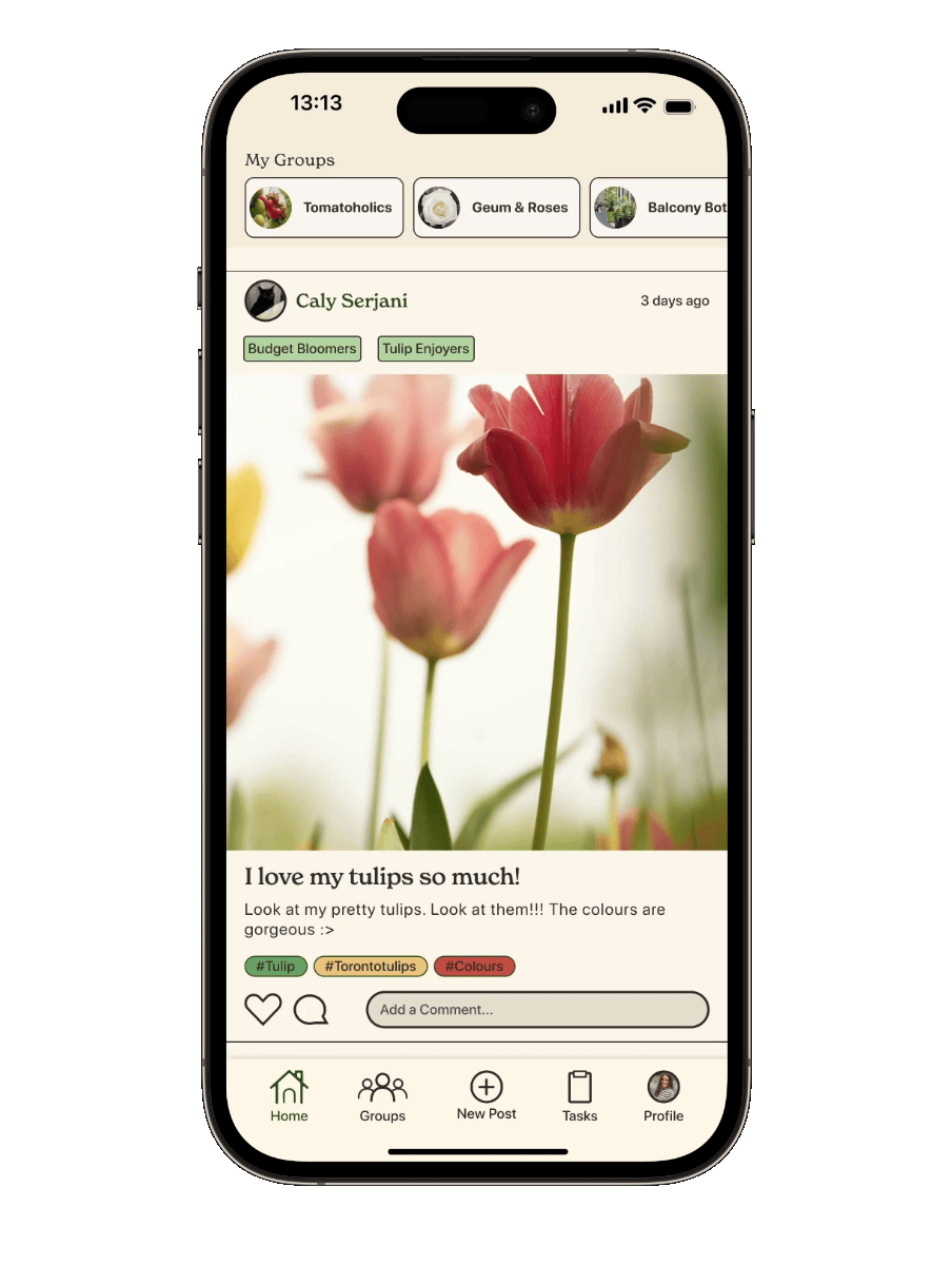 Asking a group a question